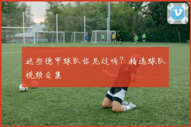 这些德甲球队你见过吗？精选球队视频合集